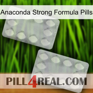 Anaconda Strong Formula Pills 17